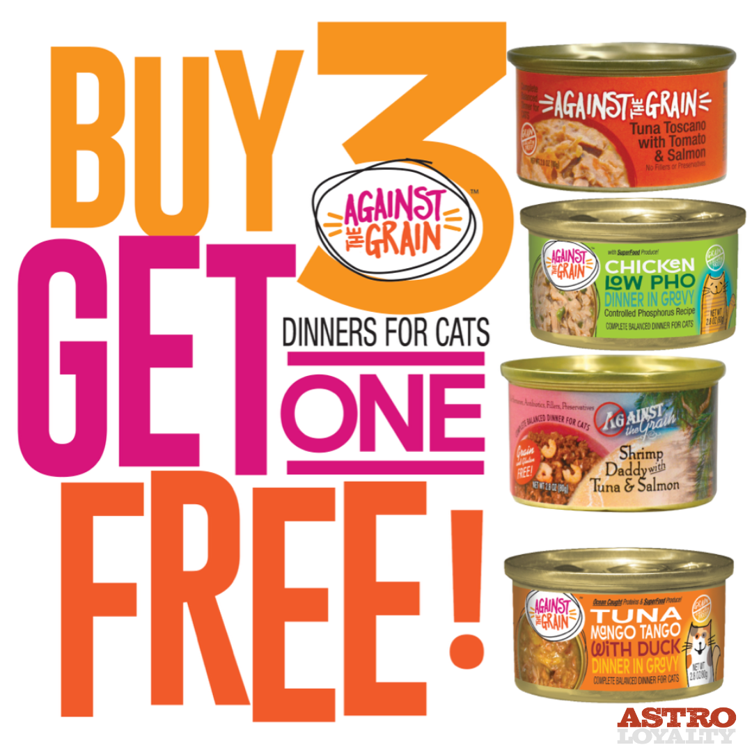 Promotion Image