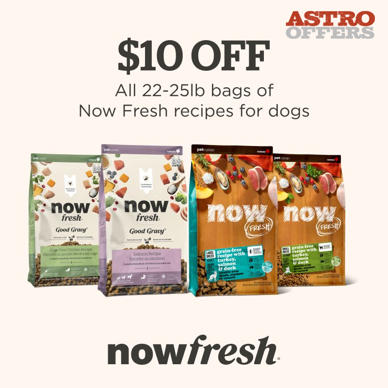 Promotion Image