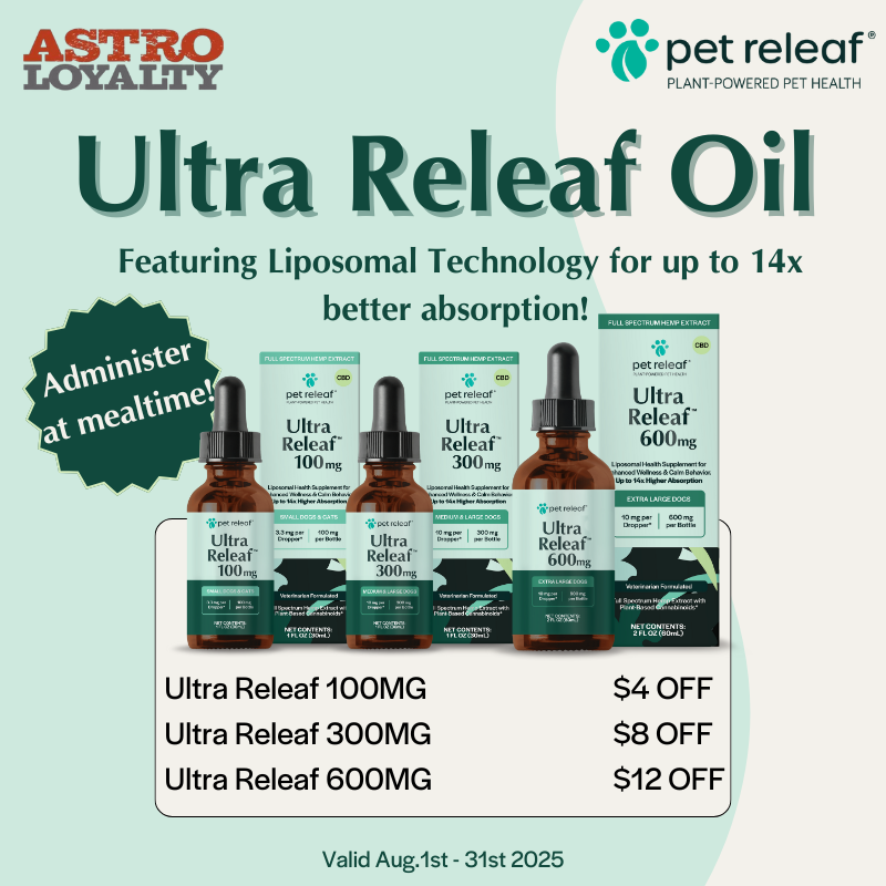 Promotion Image