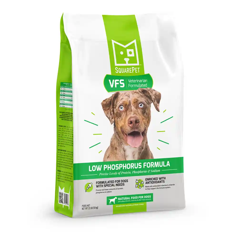 SquarePet Dog VFS Low Phosphorus 22 lb