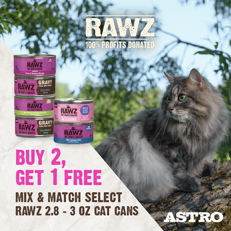 Promotion Image