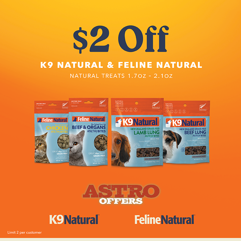 Promotion Image