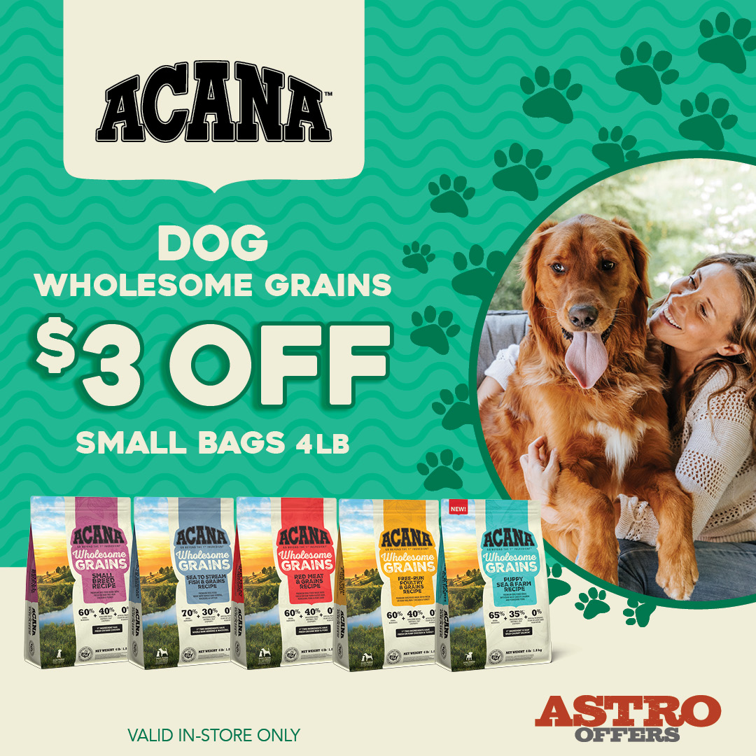 Promotion Image