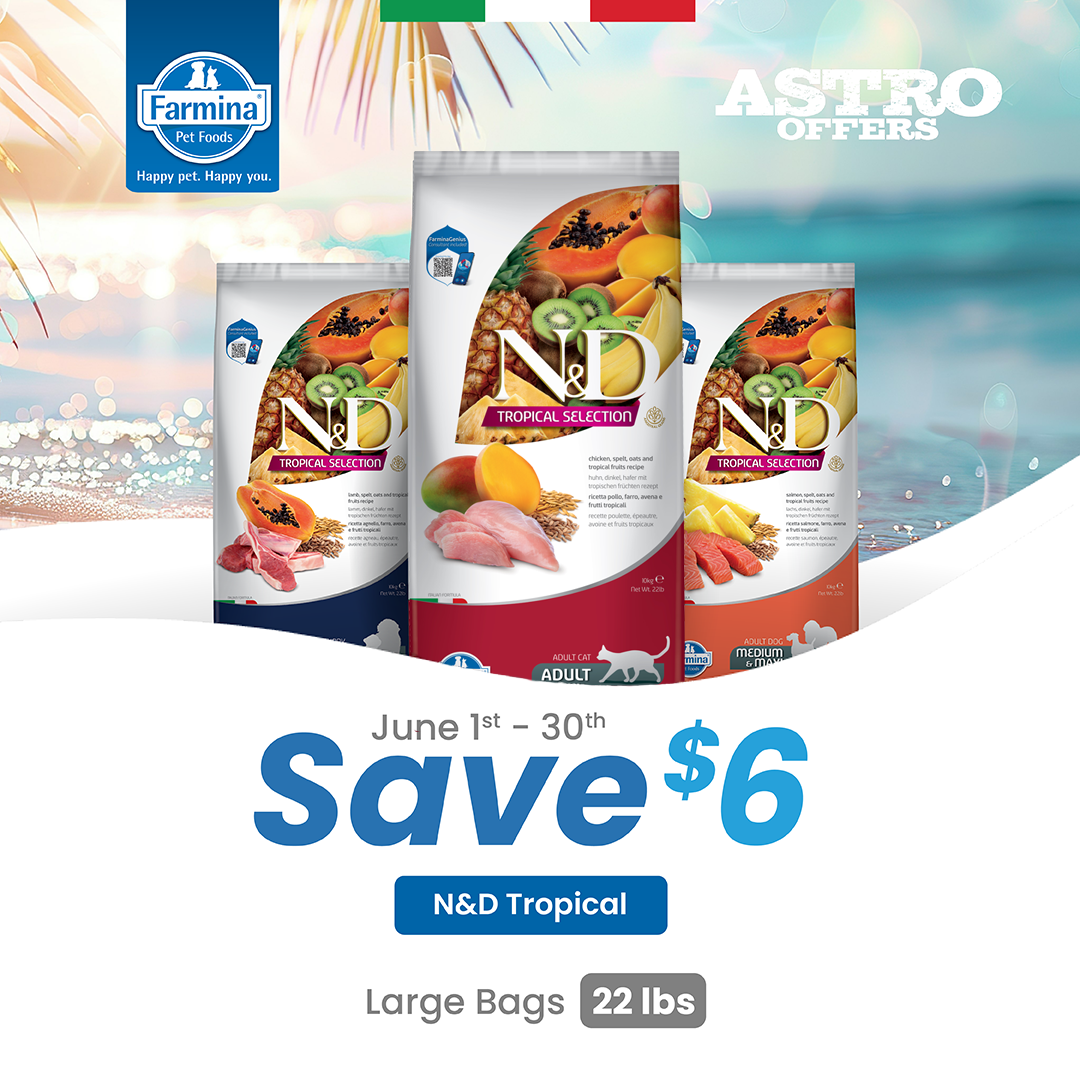 Promotion Image