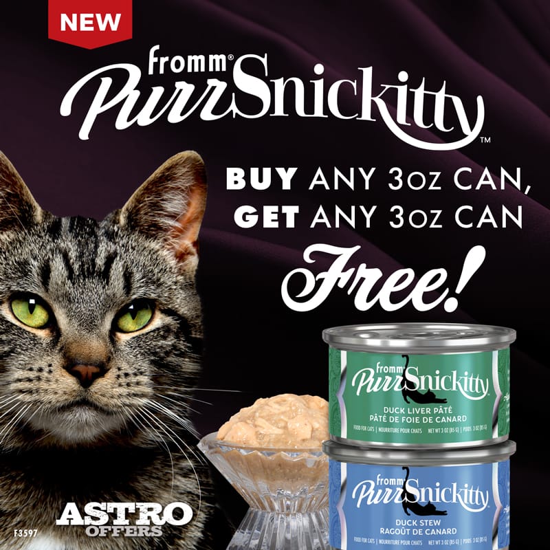 Promotion Image
