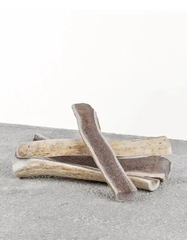 Primal Dog Elk Antler Split XL 10+ inch