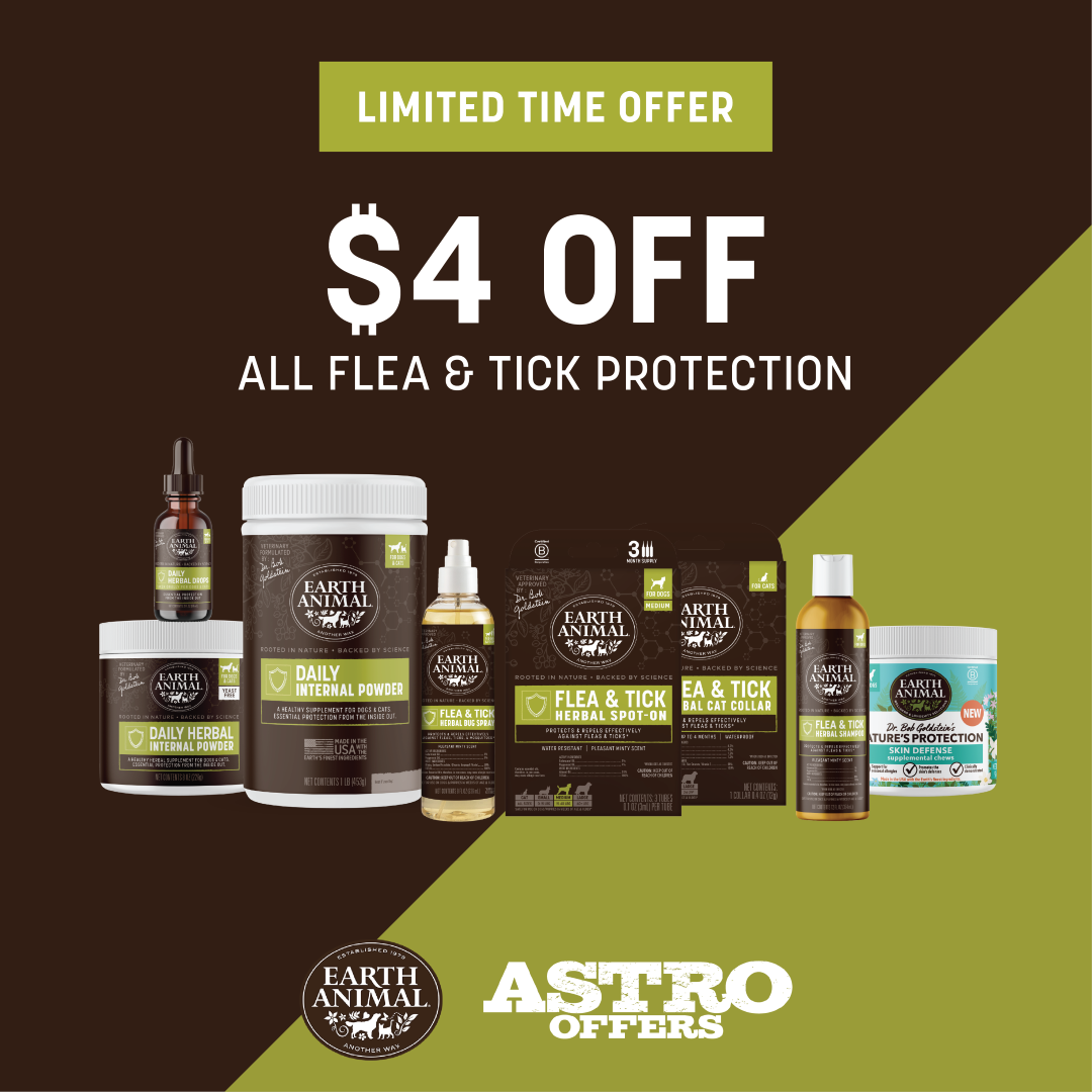 Promotion Image