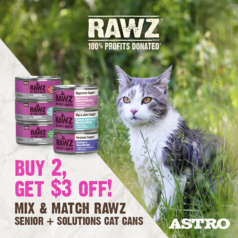 Promotion Image