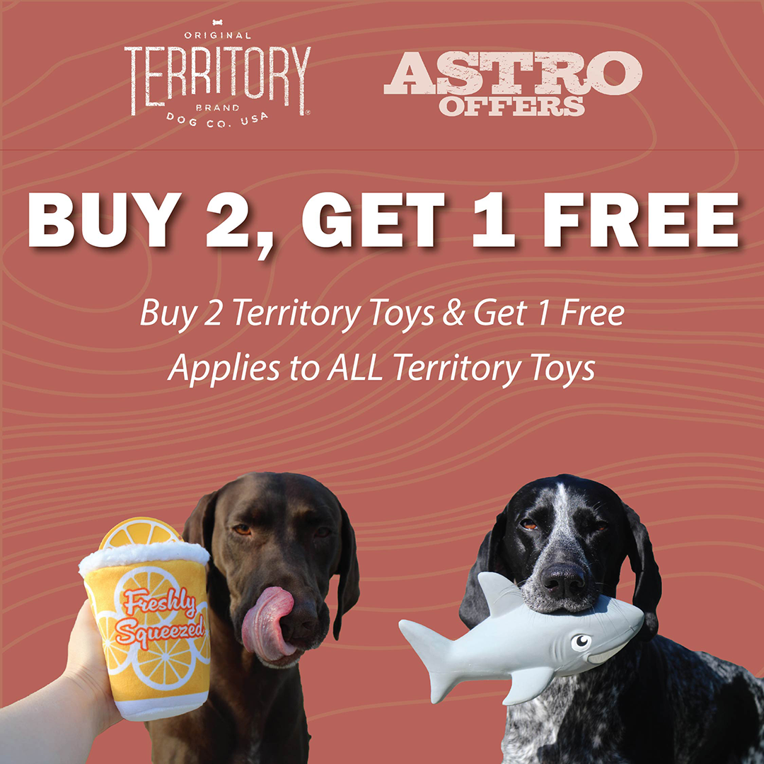 Promotion Image