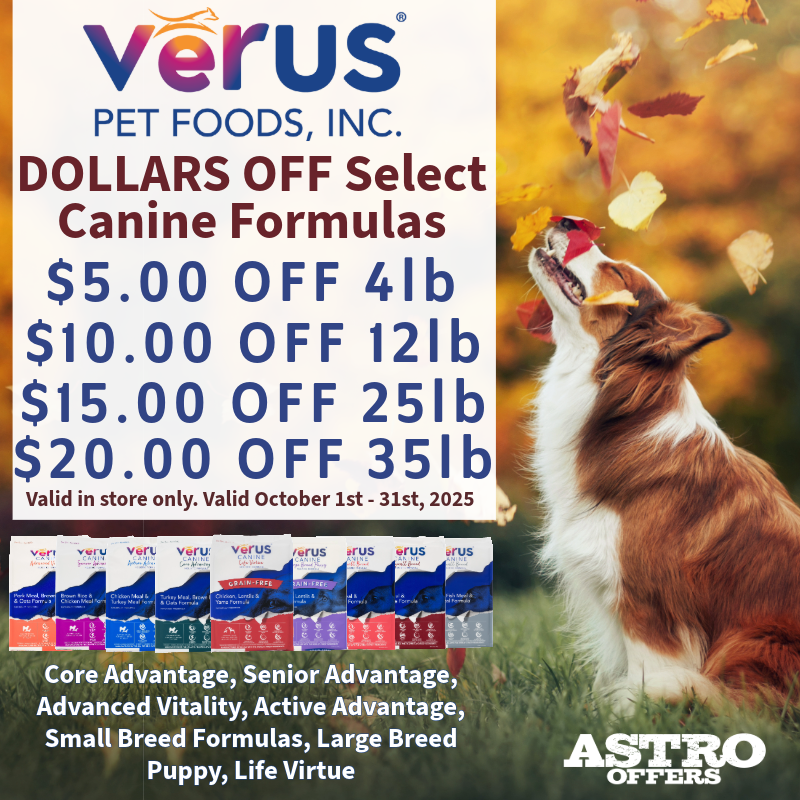 Promotion Image