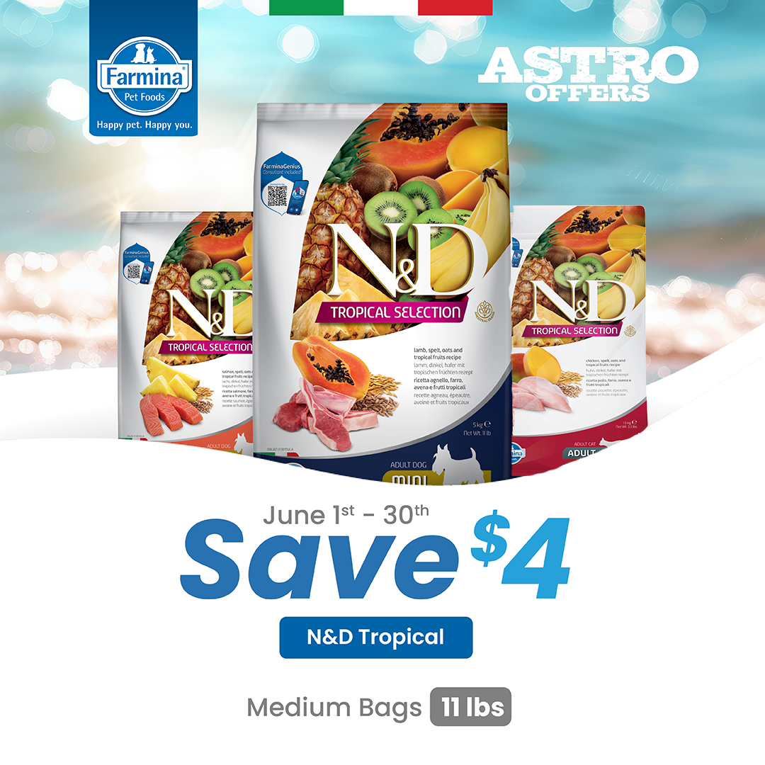 Promotion Image