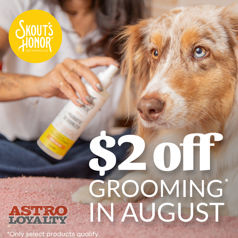 Promotion Image