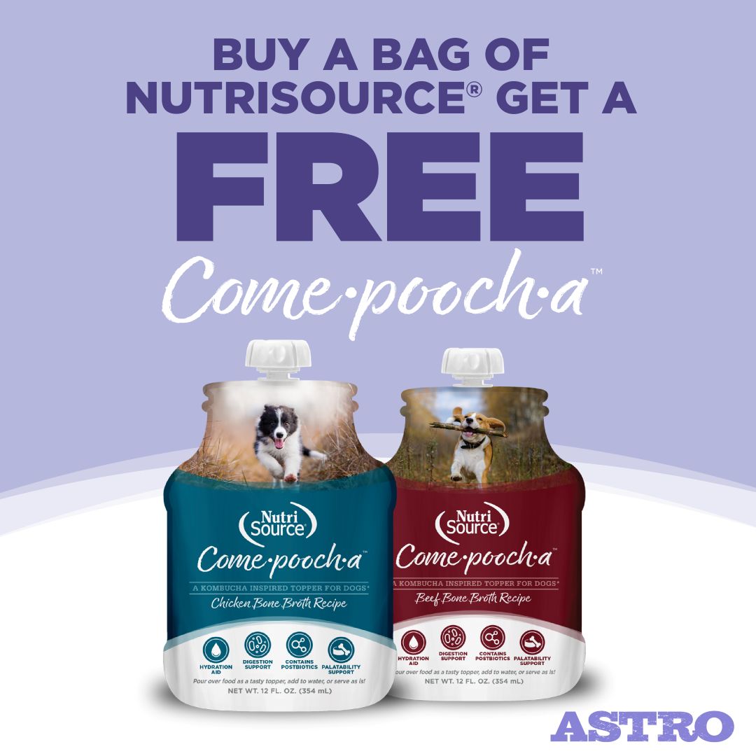 Promotion Image