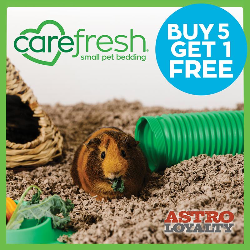 Promotion Image