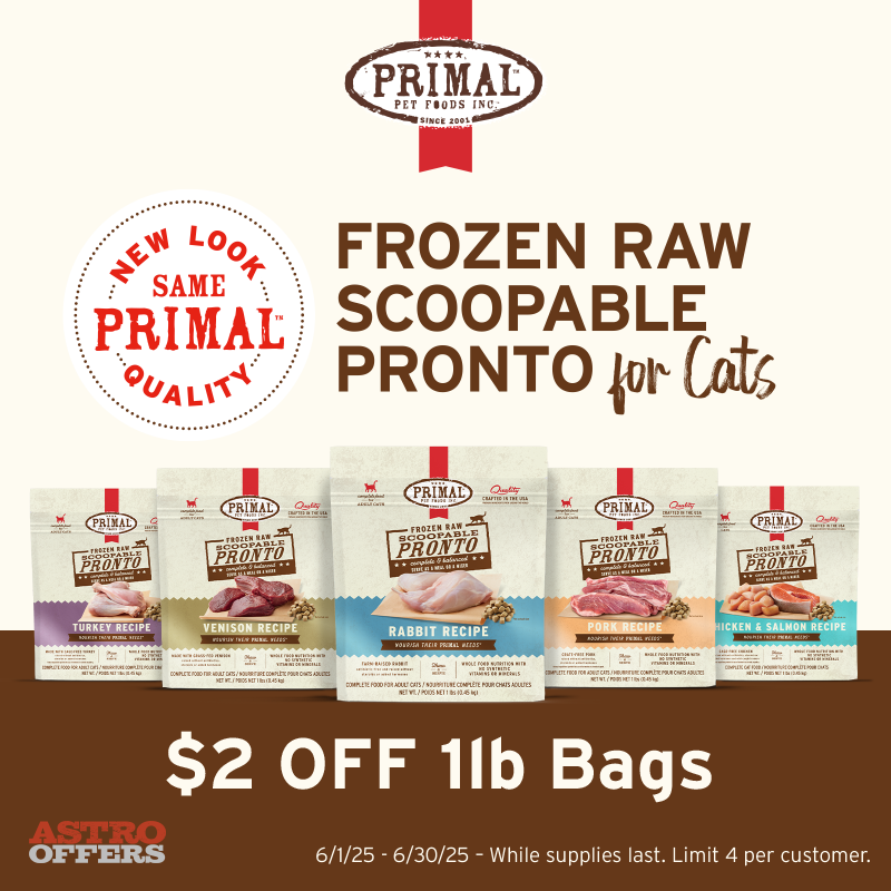 Promotion Image