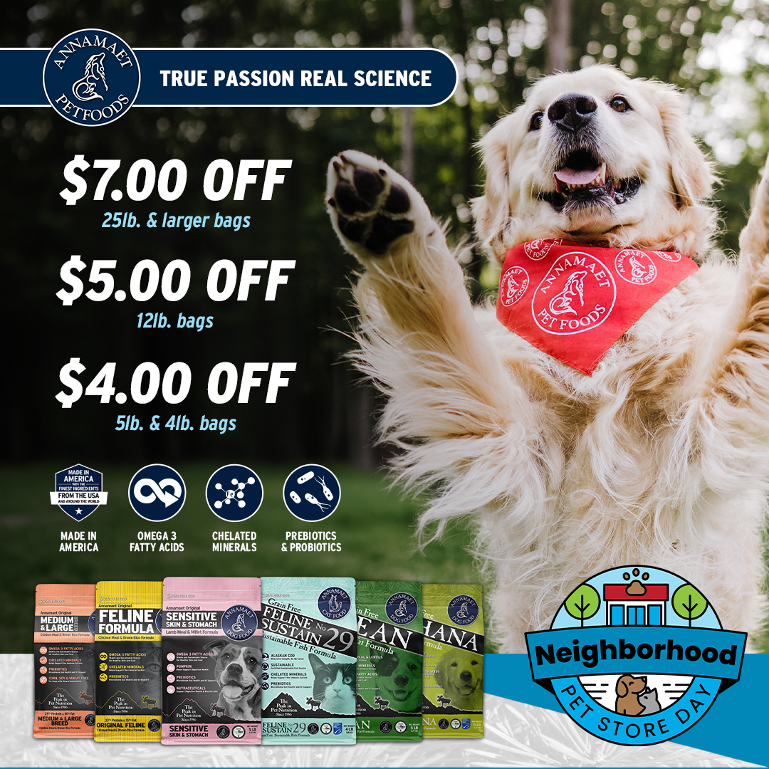 Promotion Image