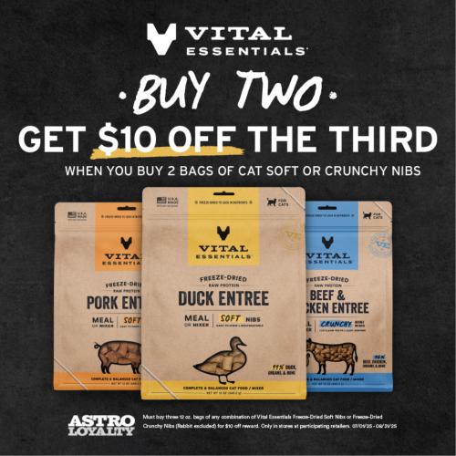 Promotion Image