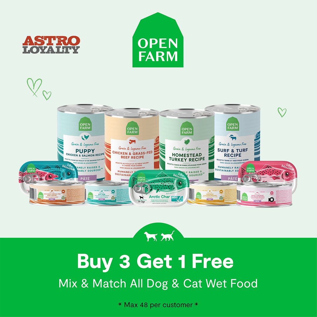 Promotion Image