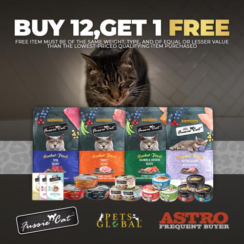 Promotion Image