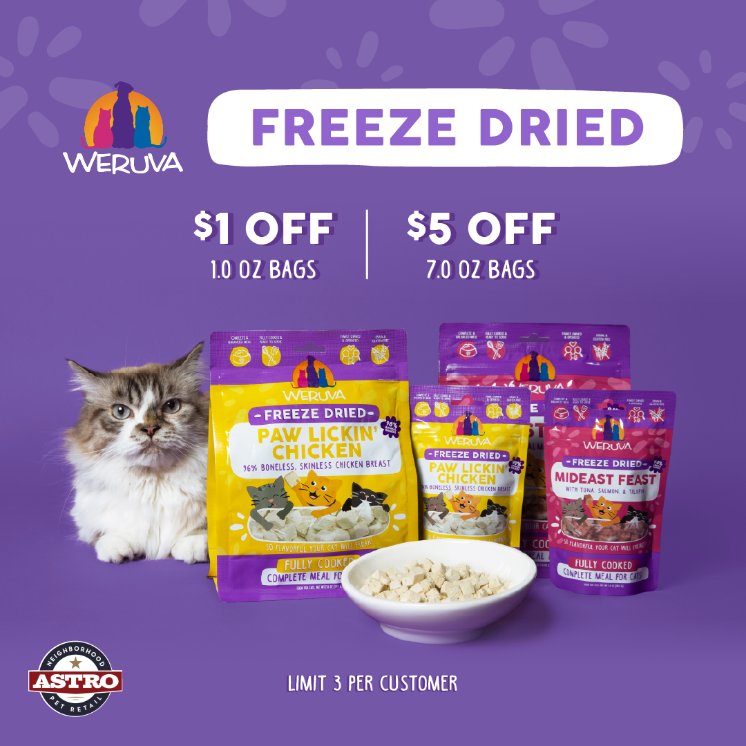 Promotion Image