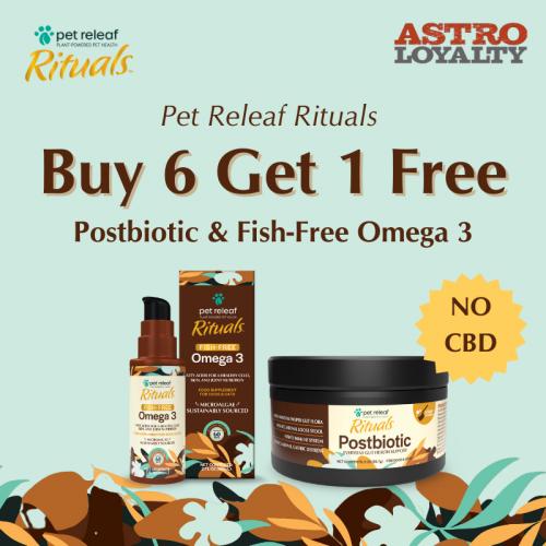 Promotion Image