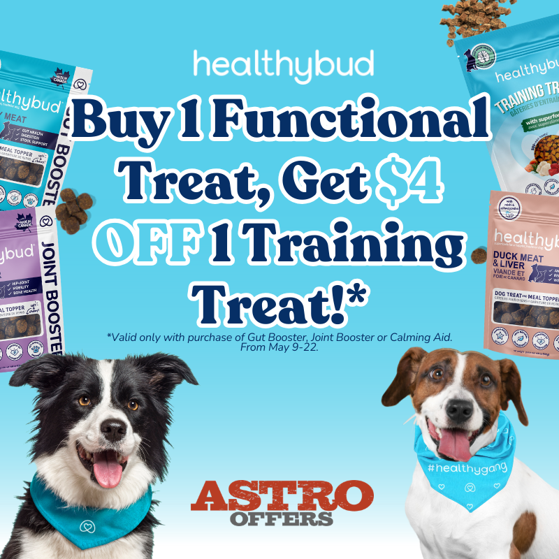Promotion Image