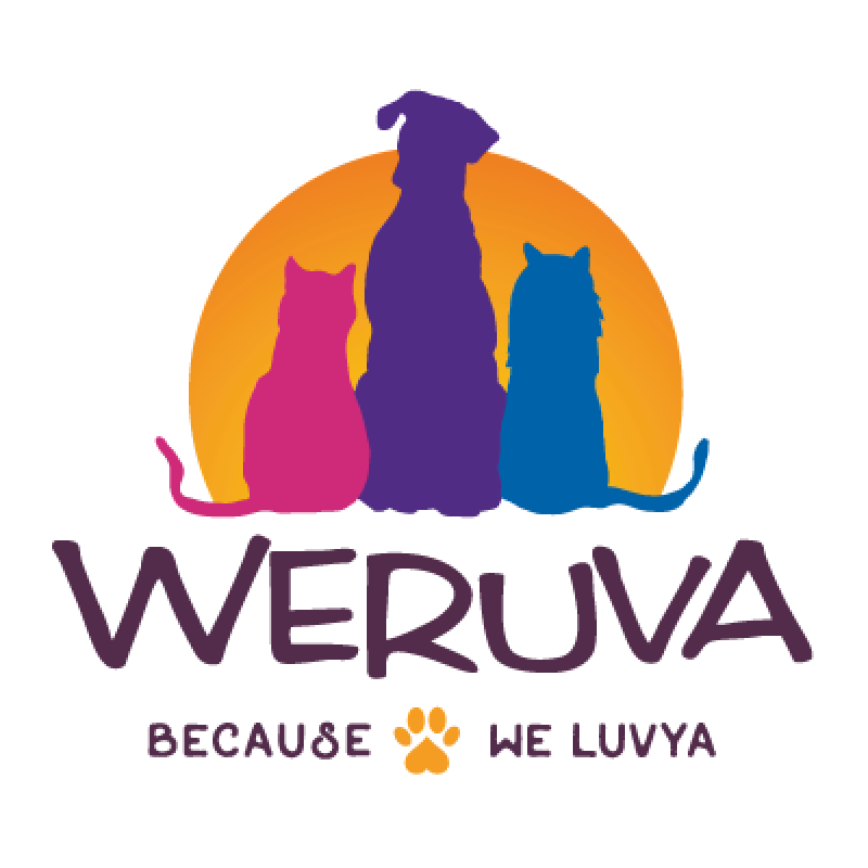 Promotion Image