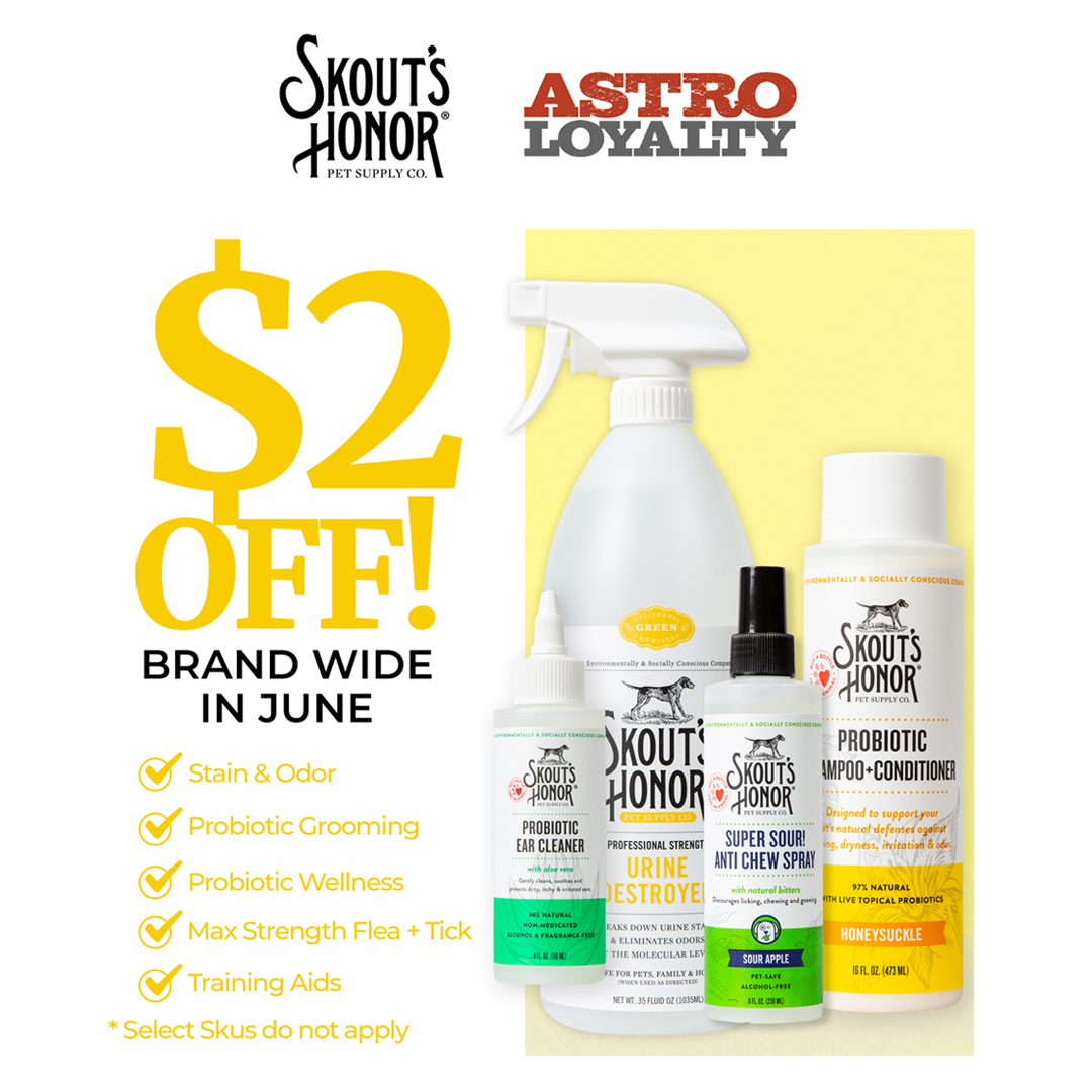 Promotion Image