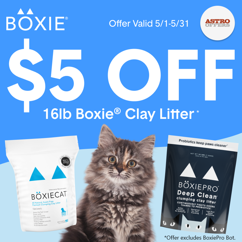 Promotion Image