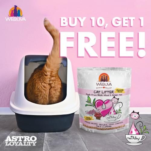 Promotion Image