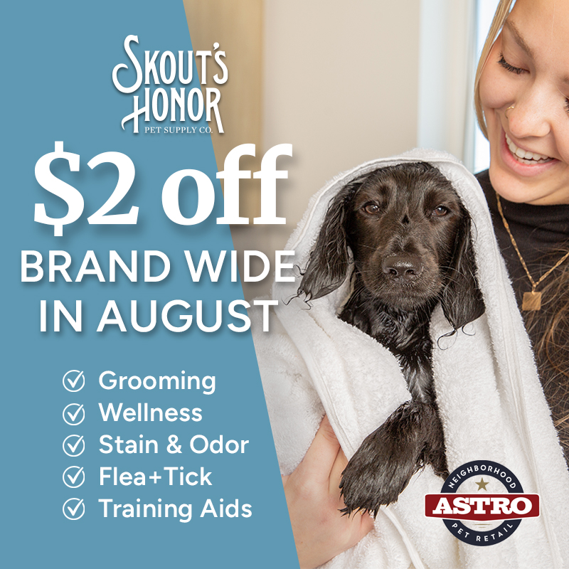 Promotion Image