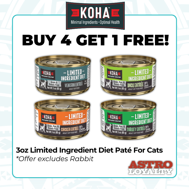 Promotion Image