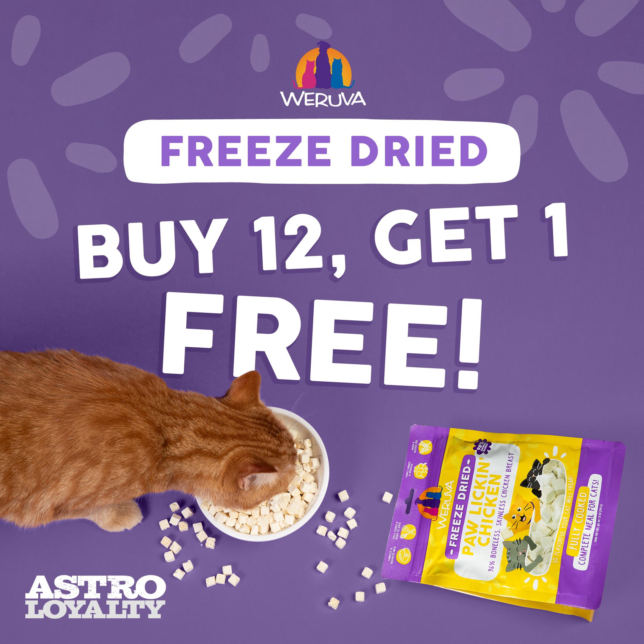 Promotion Image