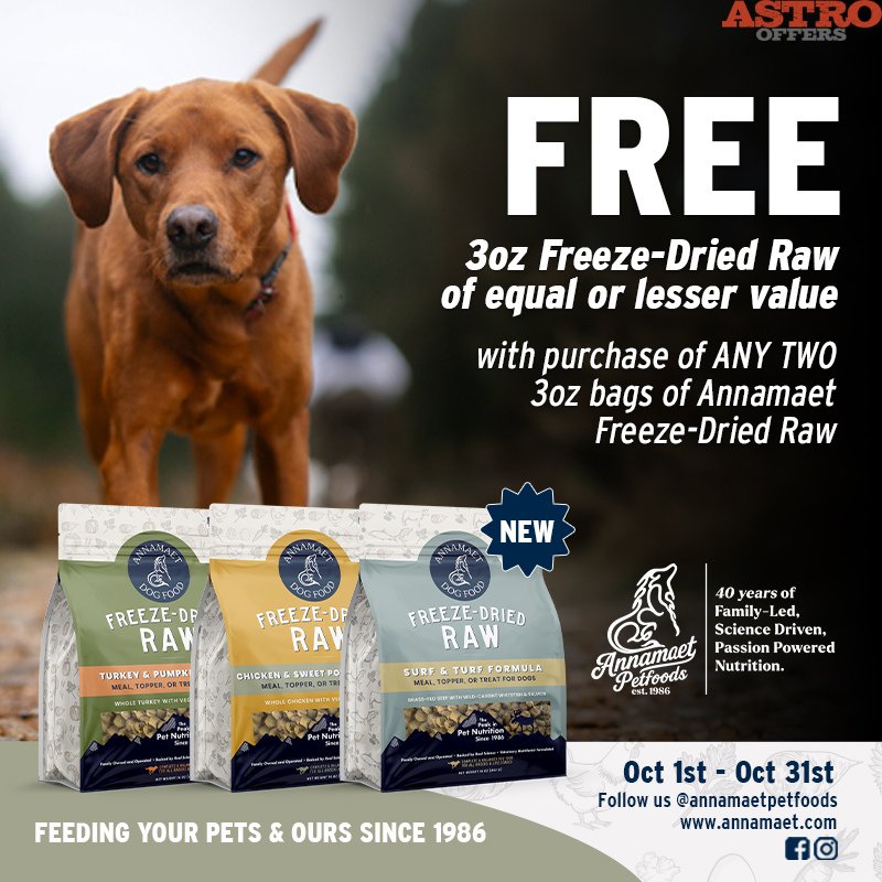 Promotion Image