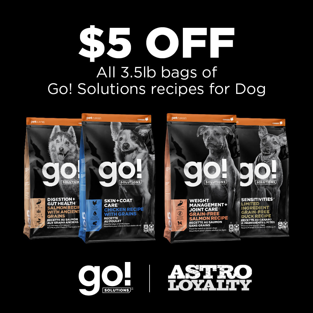 Promotion Image