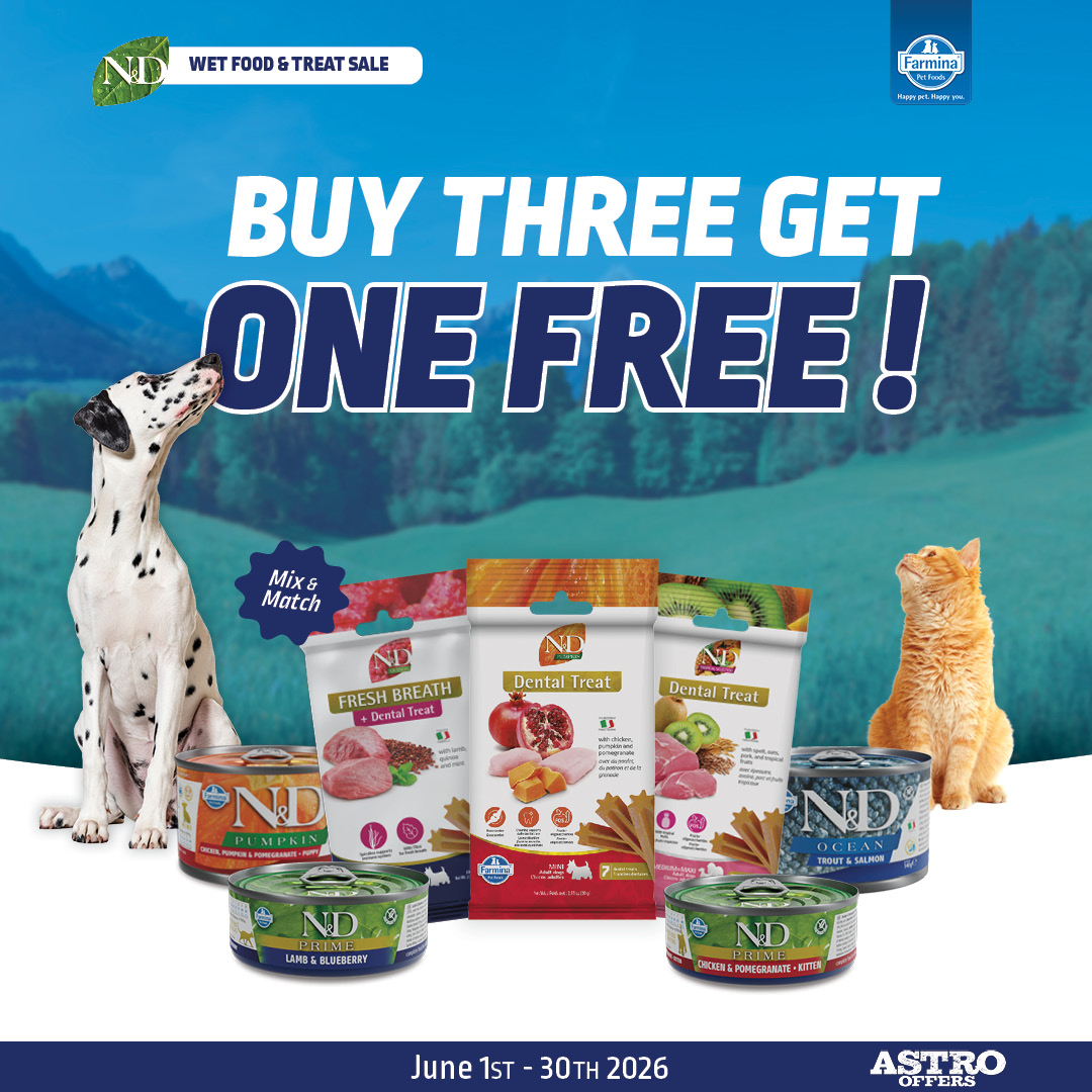 Promotion Image