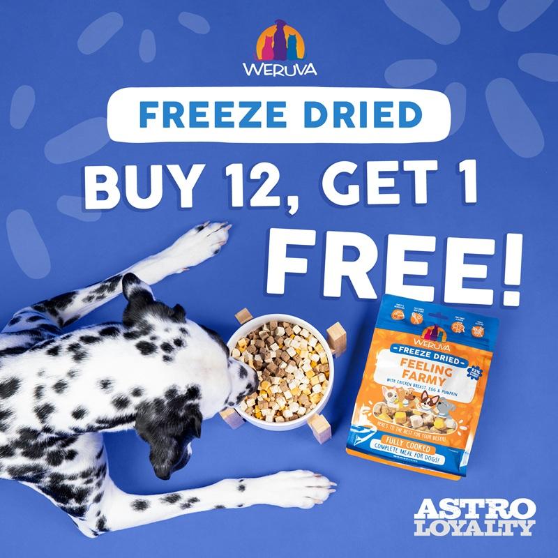 Promotion Image