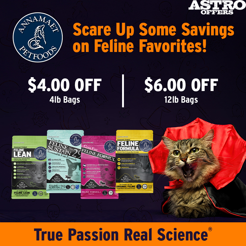 Promotion Image