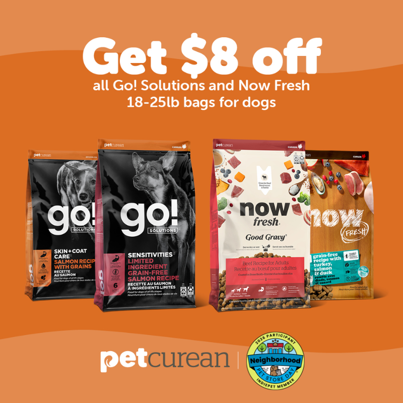 Promotion Image