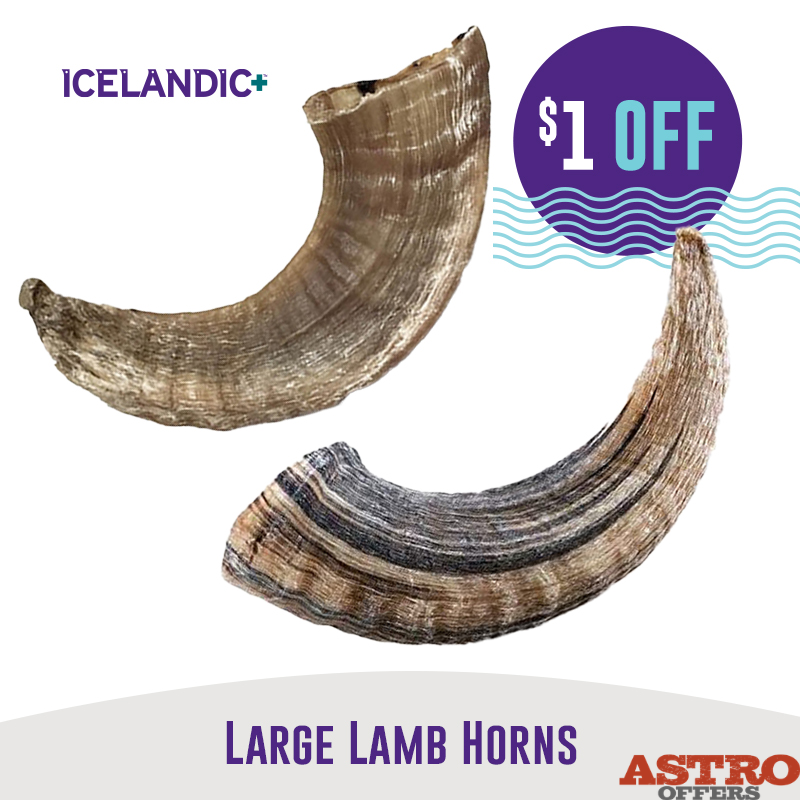 Promotion Image