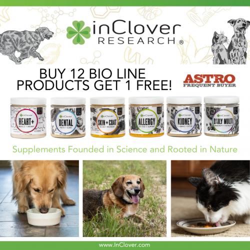 Promotion Image