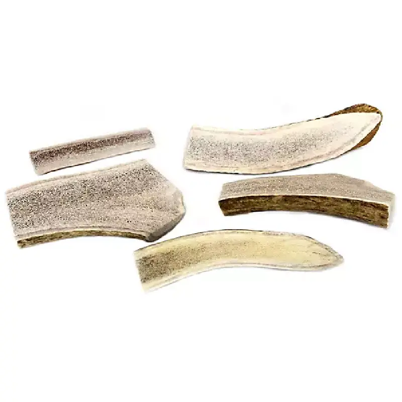 Promotion Image