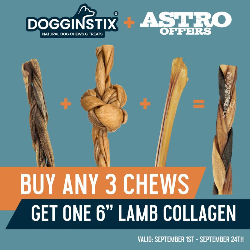 Promotion Image