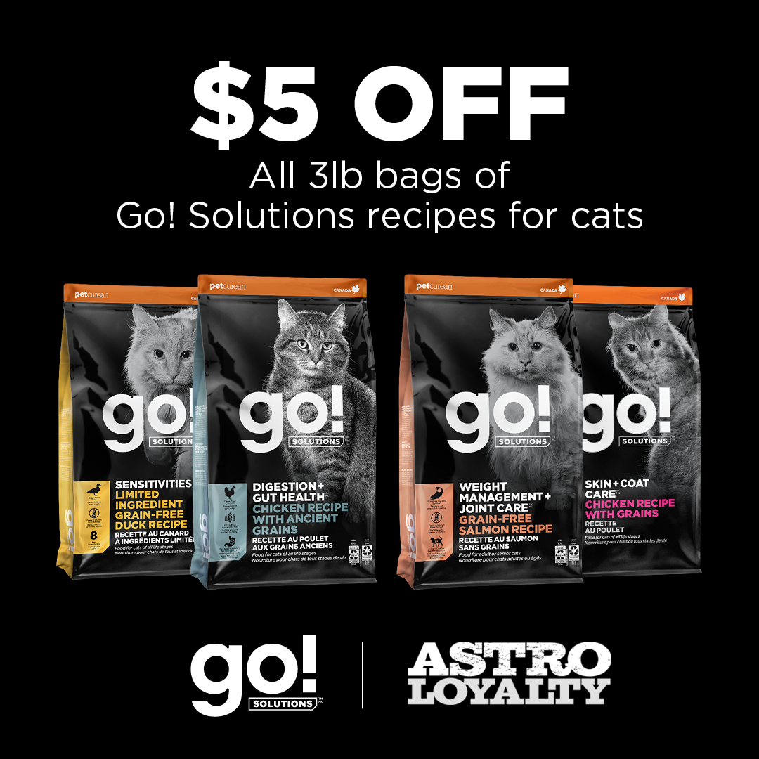 Promotion Image