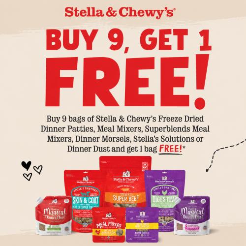 Promotion Image